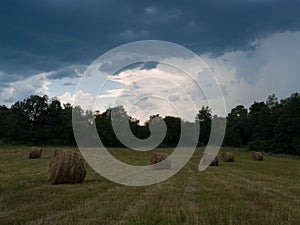 Rural landscape with hay stacks, field with roll bales near forest, domestic livestock fodder during wintertime, dark gloomy