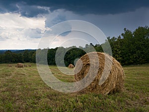 Rural landscape with hay stacks, field with roll bales near forest, domestic livestock fodder during wintertime, summer shower