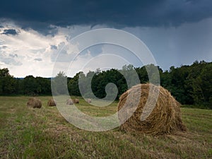 Rural landscape with hay stacks, field with roll bales near forest, domestic livestock fodder during wintertime, summer shower