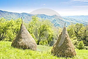 Rural landscape with haystacks in Italian Alps