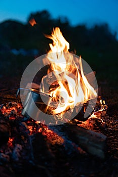 Rural landscape, high flame of night bonfire on dark background rose