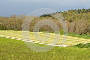 Rural landscape with hills, meadows and forest