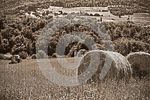 Rural landscape with houses standing alone in the province of Tuscany in Italy