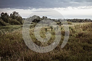 Rural landscape during hunting season with hunters in tall grass in rural field with dramatic sky during dusk