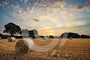 Rural landscape image of Summer sunset over field of hay bales photo