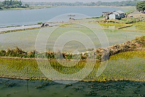 Rural landscape of India