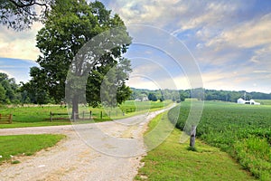 Rural landscape in Indiana