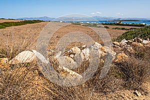 The rural landscape of the island of Paros.