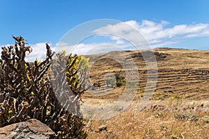 Rural landscape at La Gomera
