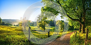 Rural landscape in late summer