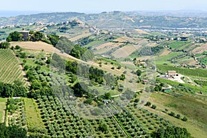 Rural landscape on Marche