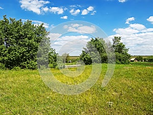 Rural landscape in May in Ukraine - a clear sunny day, greens an