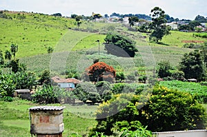 Rural landscape in the middle of the small town of AndrelÃ¢ndia photo