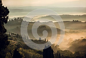 Rural landscape at misty sunrise. Hills of Tuscany with garden trees, villas, green hills, countryside, Italy