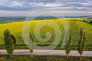 Rural landscape in Moldova