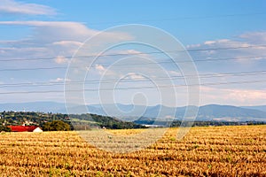 Rural landscape in Moravian-Silesian region in the Czechs republic photo