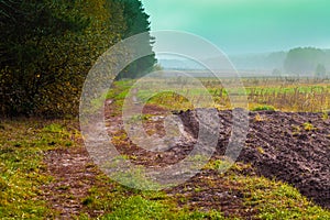 Rural landscape in the morning. Plowed field near the forest