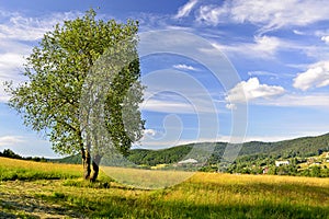 Rural landscape with mountains.