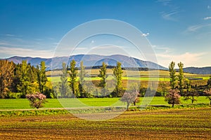 Rural landscape with mountains in the background