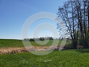 rural landscape between the mountains of Europe in spring season and during a sunny day