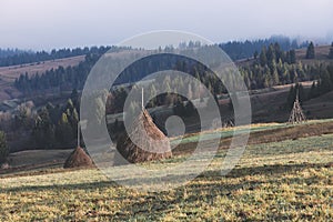 Rural landscape in the mountains. Haystacks dry hay in the field