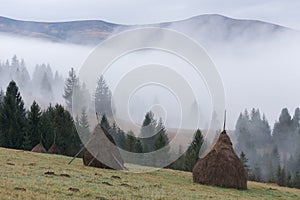 Rural landscape in the mountains. Haystacks dry hay in the field