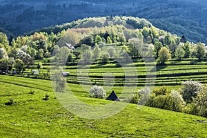 Rural landscape, Muranska Zdychava, Slovakia, seasonal natural scene