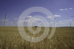 Rural landscape in Murge, Apulia, near Minervino