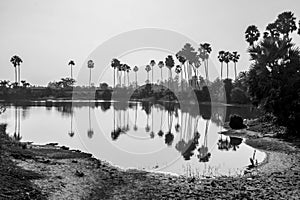 Rural landscape near bankura west bengal