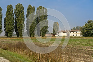 Rural landscape near Belgioioso, Pavia, Italy