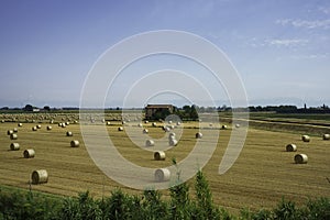 Rural landscape near Caorle, Venice province