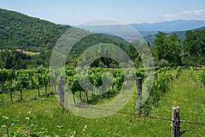 Rural landscape near Fivizzano, Tuscany, Italy