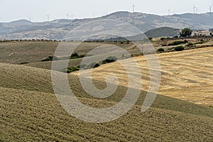 Rural landscape in Matera province at summer photo