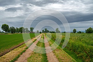 Rural landscape near Prado, Pavia province