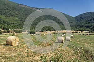 Rural landscape near Priverno, Lazio