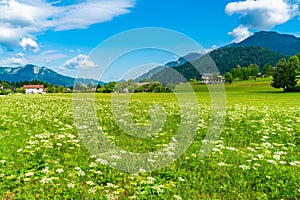 Rural landscape near Strobl, Austria