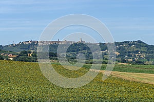 Rural landscape near Treia, Marches