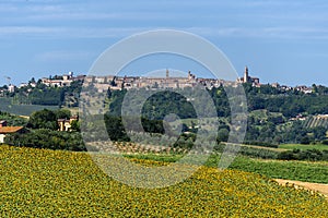 Rural landscape near Treia, Marches