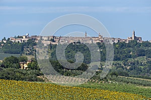 Rural landscape near Treia, Marches