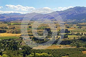 Rural landscape in New Zealand