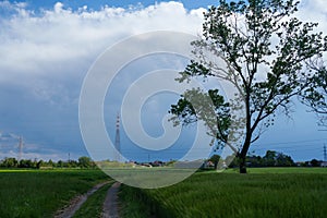 Rural landscape in the North-East Rural Park of Milan, italy photo