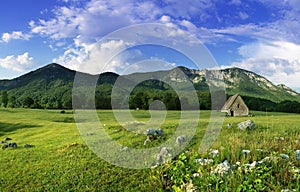 Rural landscape with old house on the field