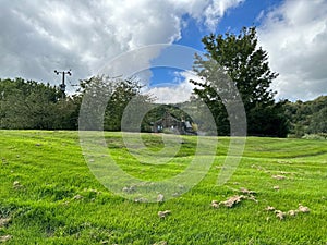 Rural landscape, with an old house, trees, and fields in the Aire Valley, Keighley, UK