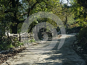 Rural landscape with old road in forest