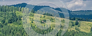 Rural landscape panorama in Carpathian Mountains