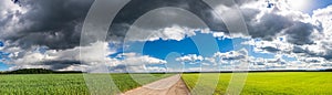 Rural landscape panorama with fields, road and sky