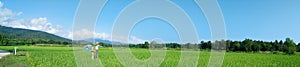 Rural landscape panorama with green rice fields