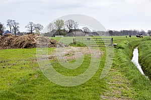 Rural landscape with pasture and farm in Nunspeet