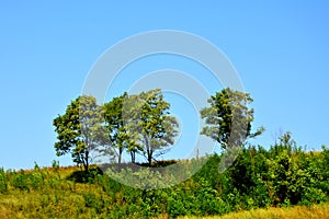 Rural landscape in the plains of Transylvania, Romania