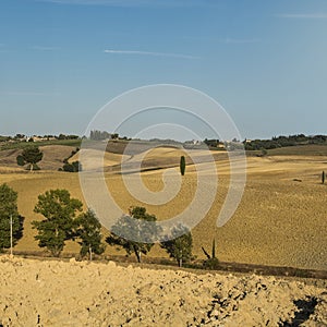 Rural landscape with plowed fields